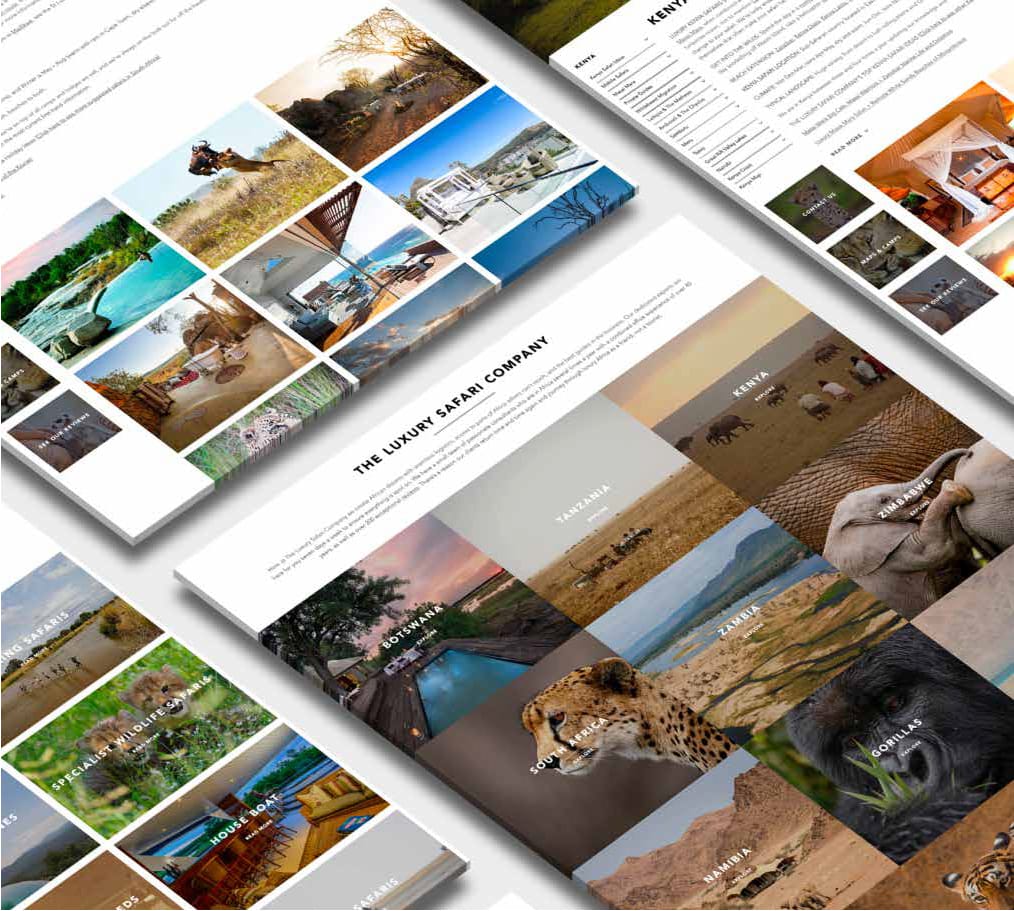 Bespoke WordPress Website Development Cambridge