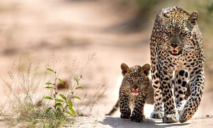 Website Design Cambridge